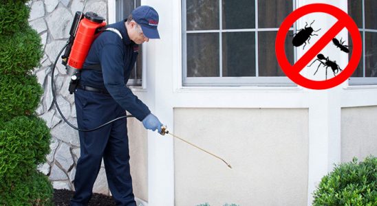 Eflani Gümüşkurt İlaçlama böcek ilaçlama ve haşere kontrolü — ilaclama-tr.com